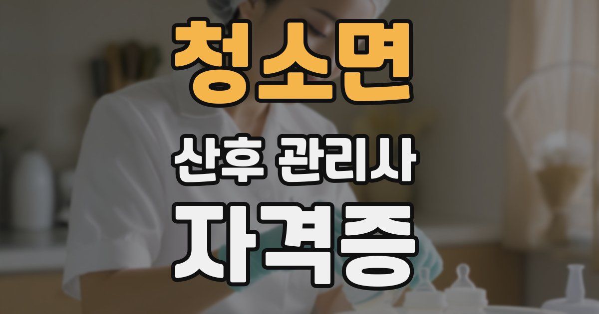 청소면 산후 관리사 자격증
