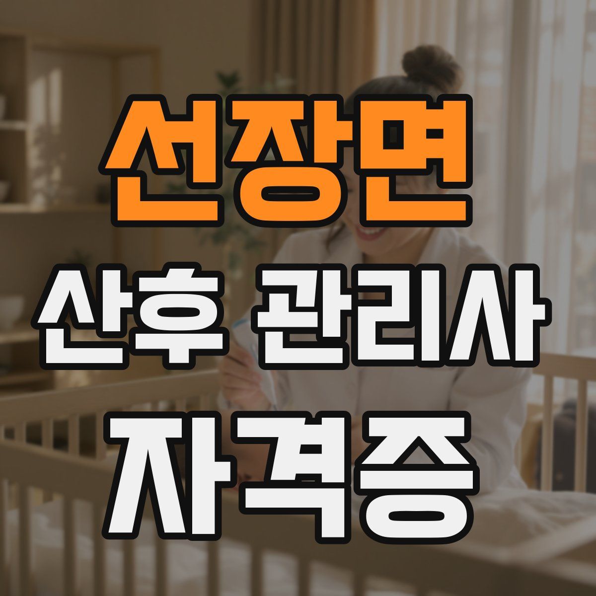 선장면 산후 관리사 자격증