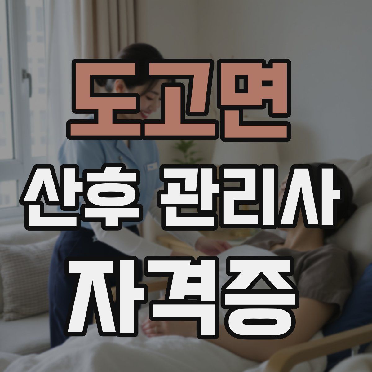 도고면 산후 관리사 자격증