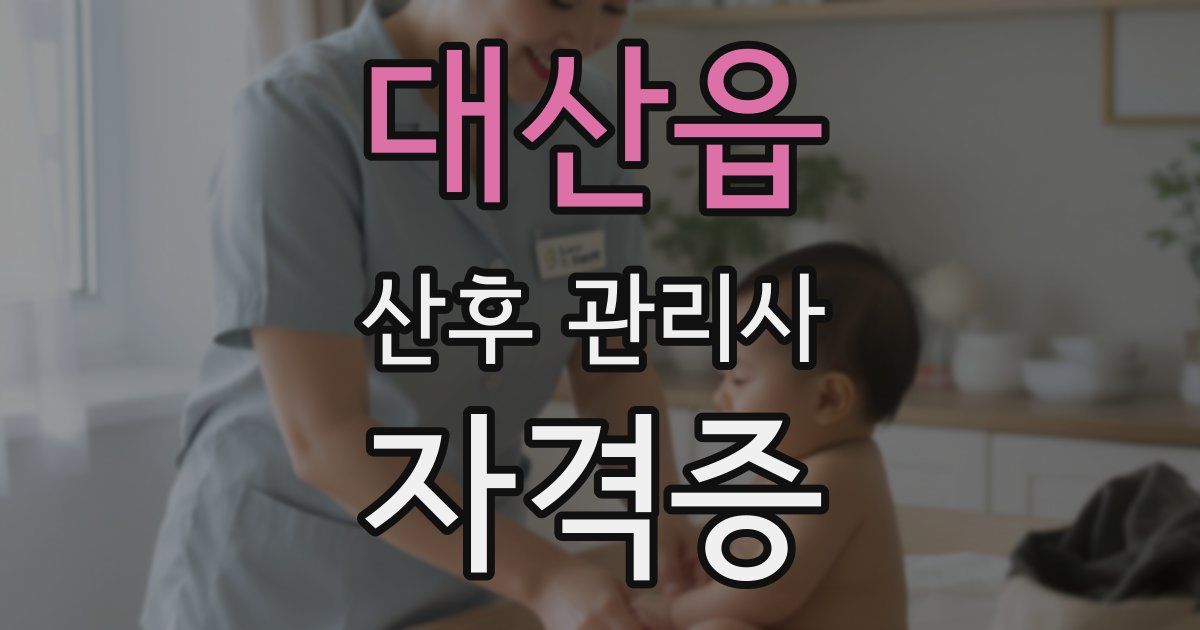 대산읍 산후 관리사 자격증