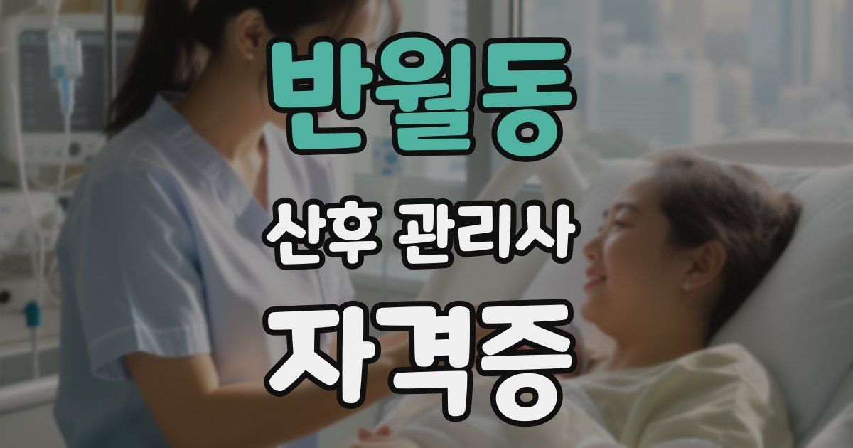 반월동 산후 관리사 자격증