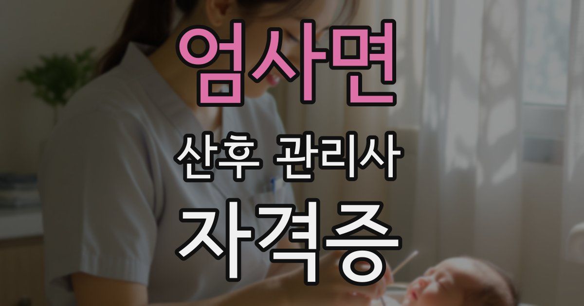 엄사면 산후 관리사 자격증
