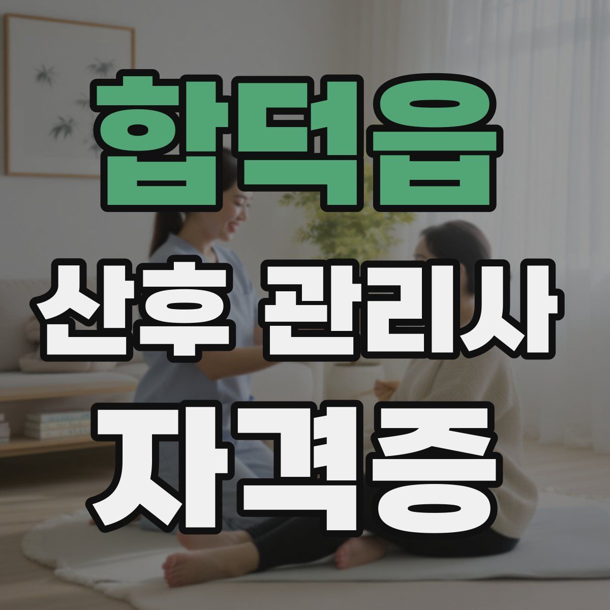 합덕읍 산후 관리사 자격증