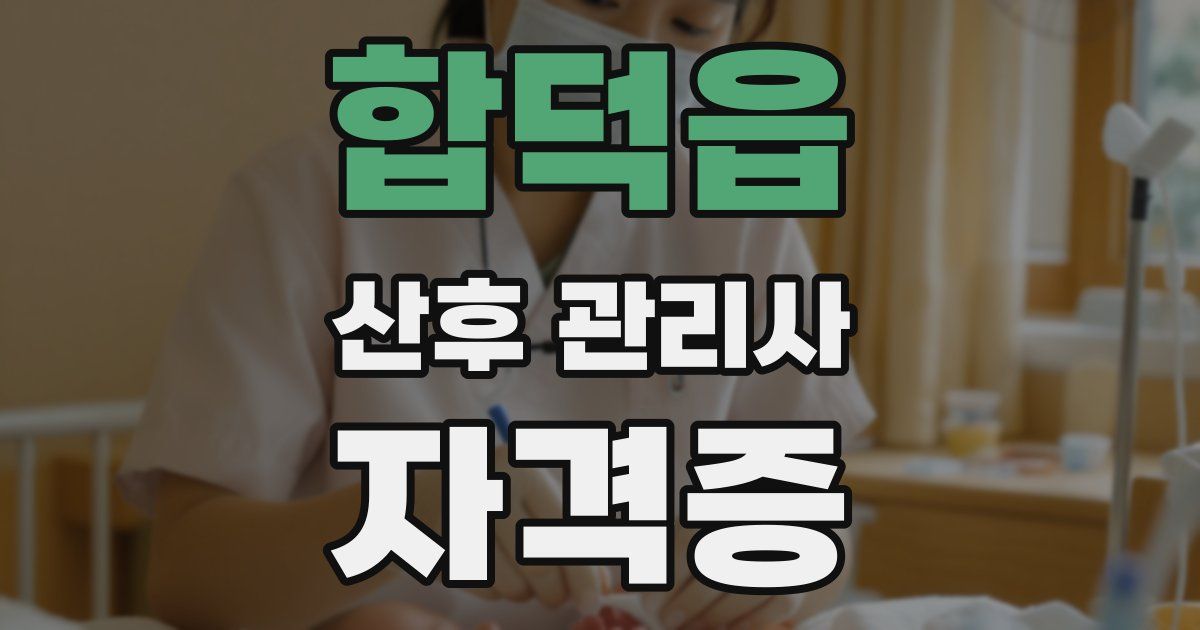 합덕읍 산후 관리사 자격증