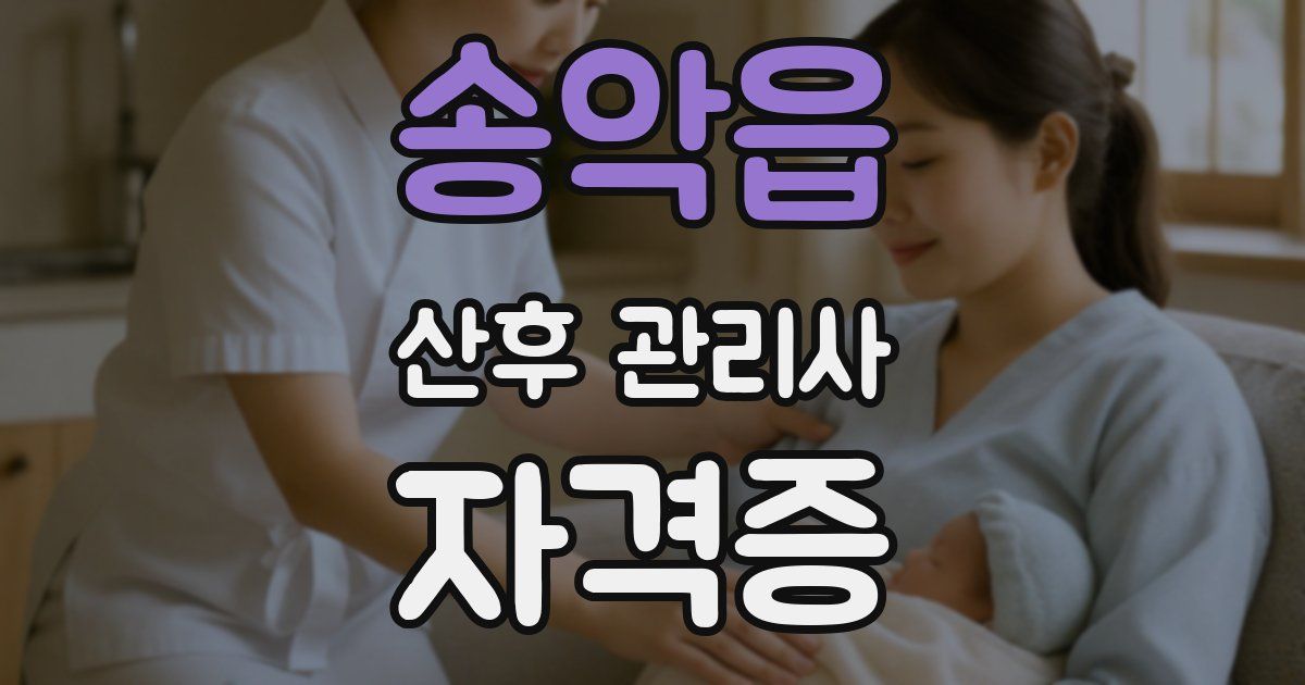 송악읍 산후 관리사 자격증