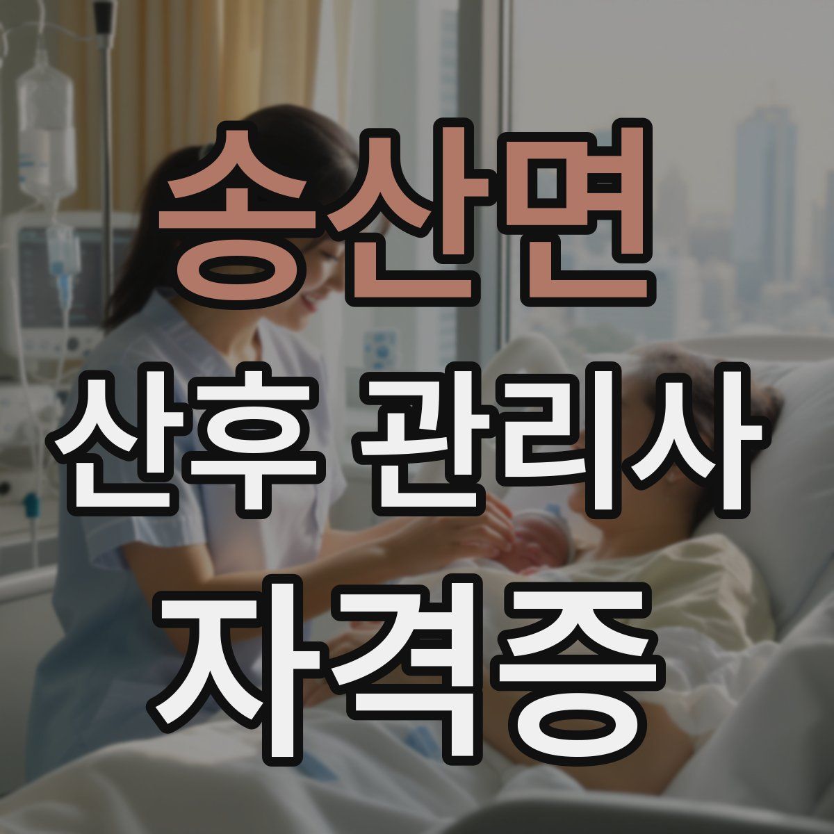 송산면 산후 관리사 자격증