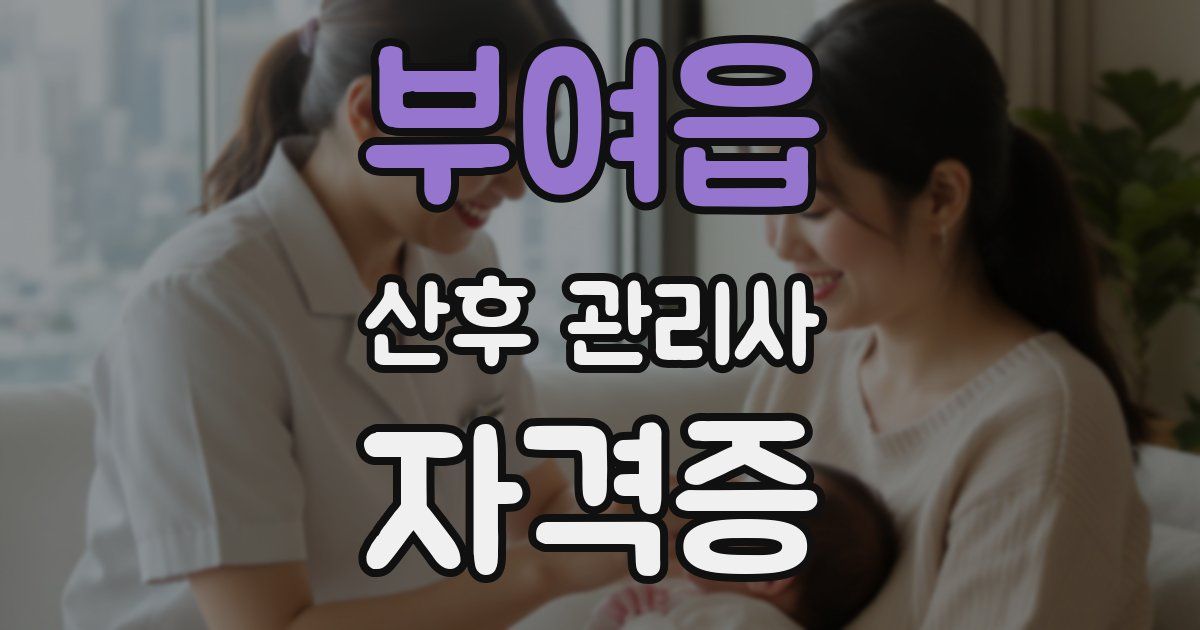 부여읍 산후 관리사 자격증