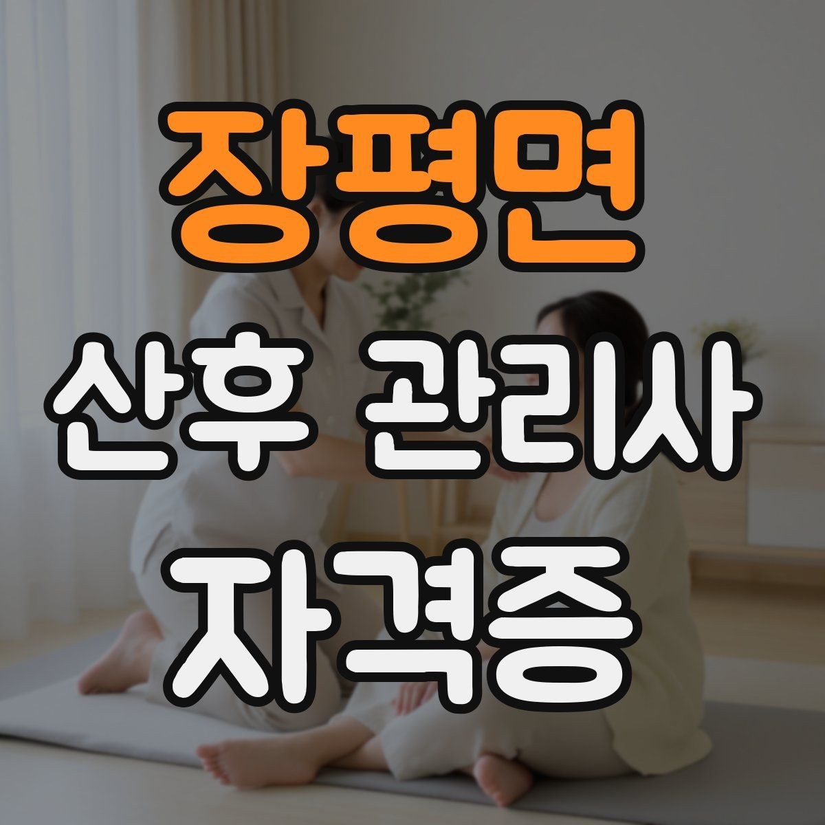 장평면 산후 관리사 자격증 취득 후 취업 활동 경로 알아보기