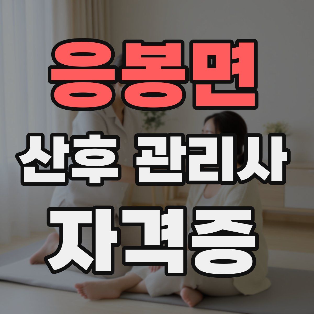 응봉면 산후 관리사 자격증
