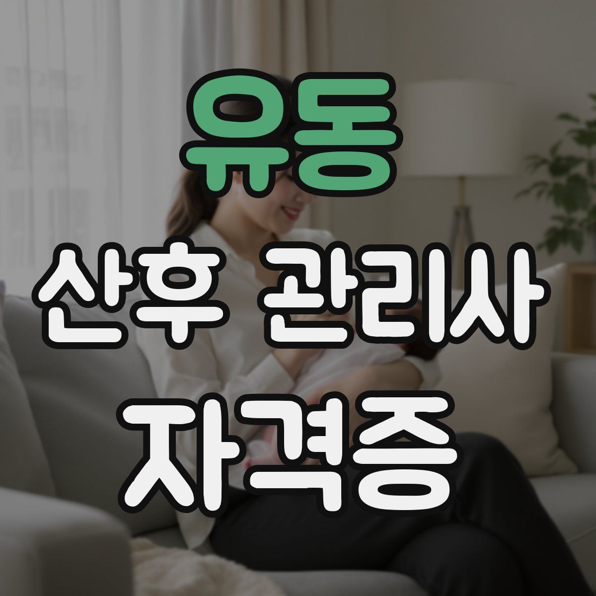 유동 산후 관리사 자격증