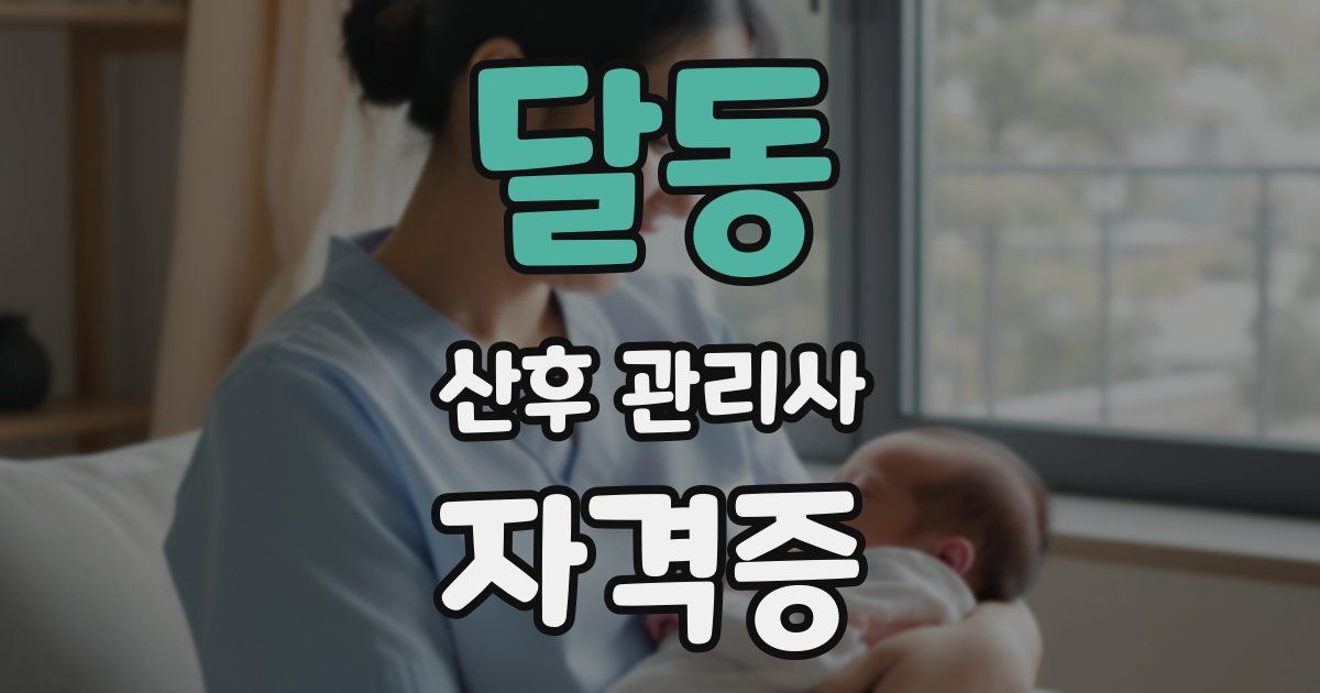 달동 산후 관리사 자격증