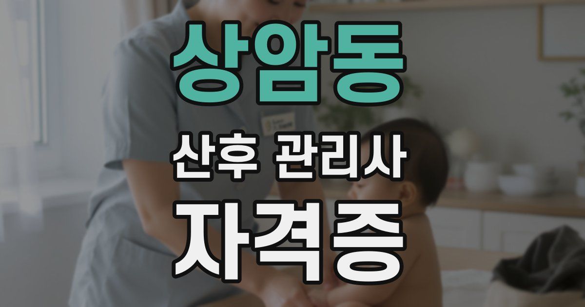 상암동 산후 관리사 자격증