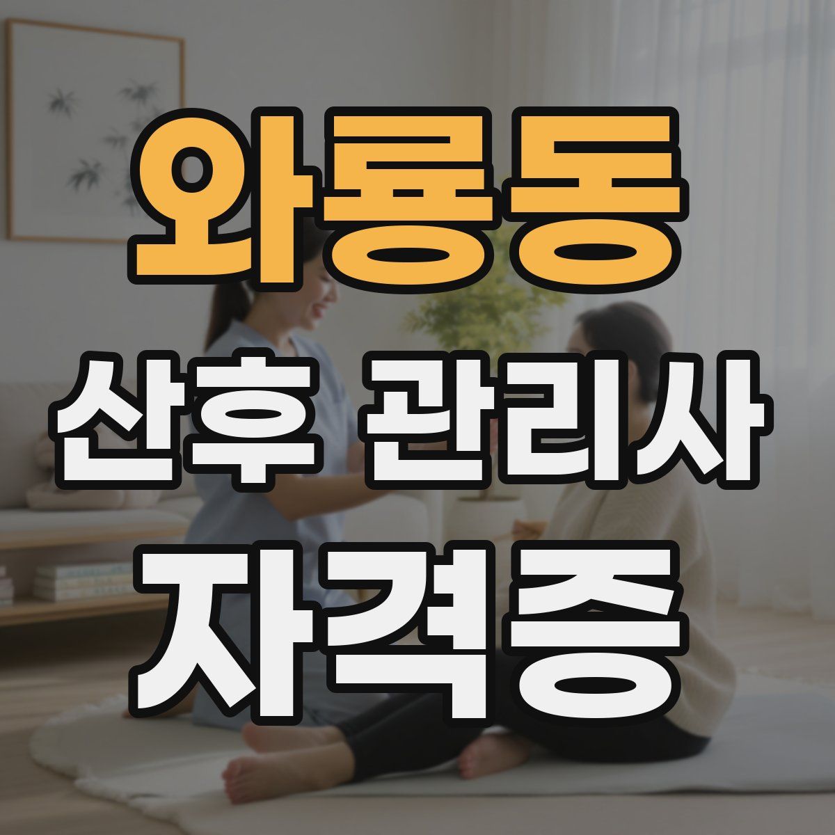 와룡동 산후 관리사 자격증