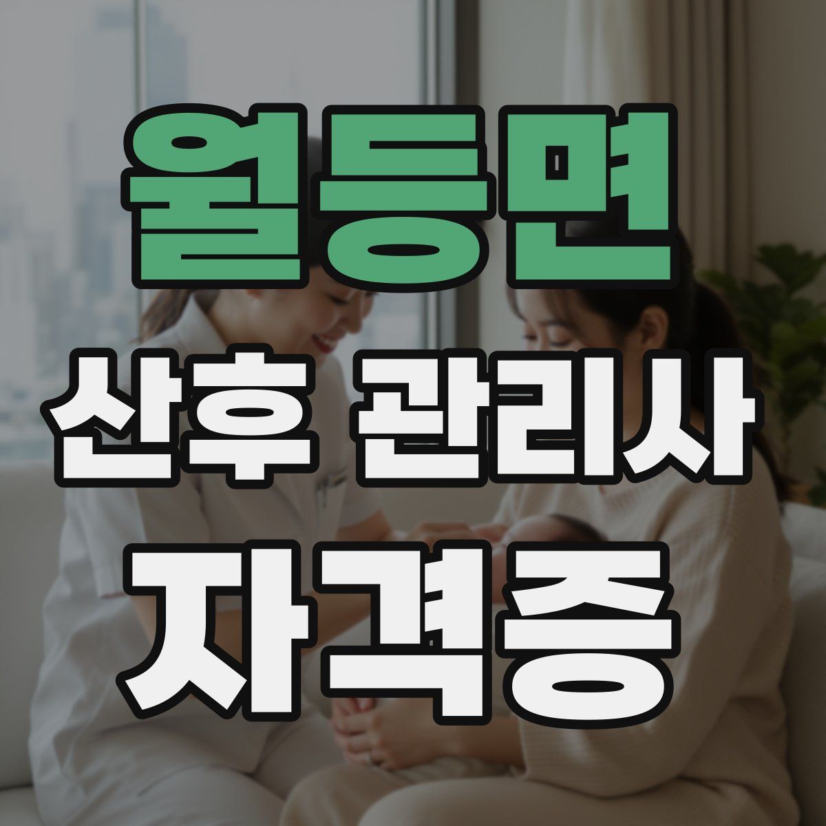 월등면 산후 관리사 자격증