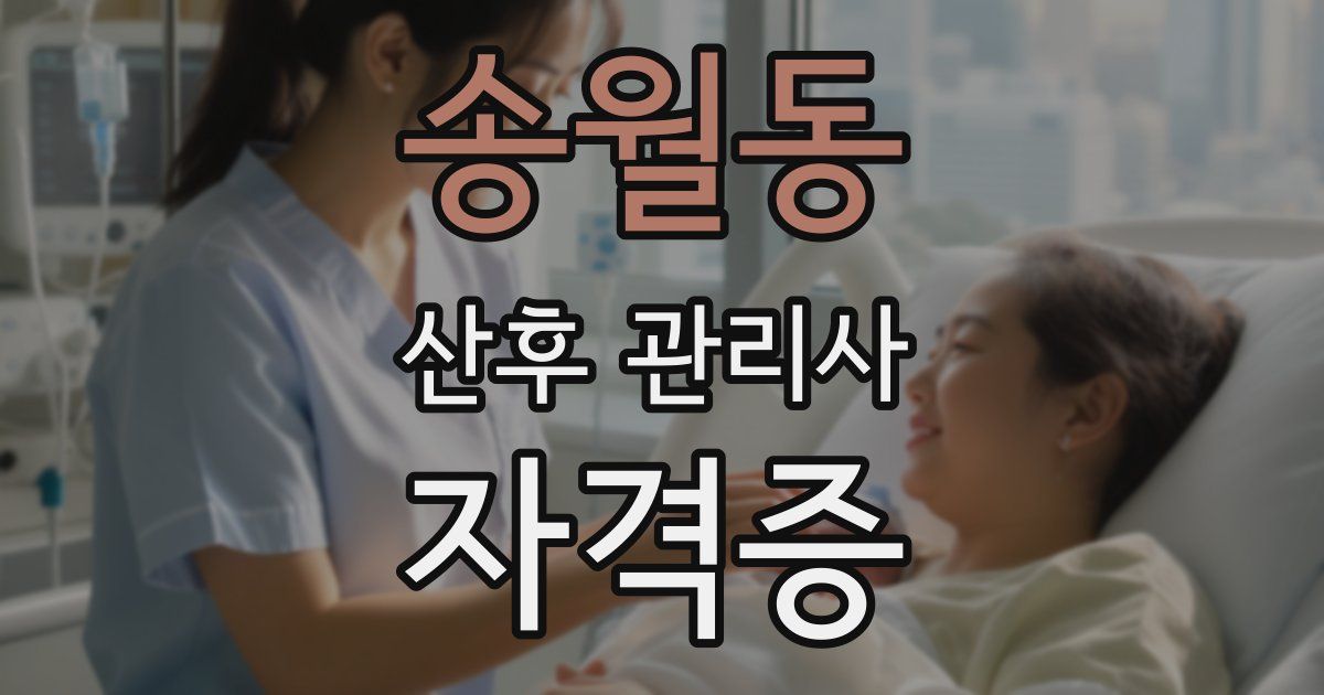 송월동 산후 관리사 자격증