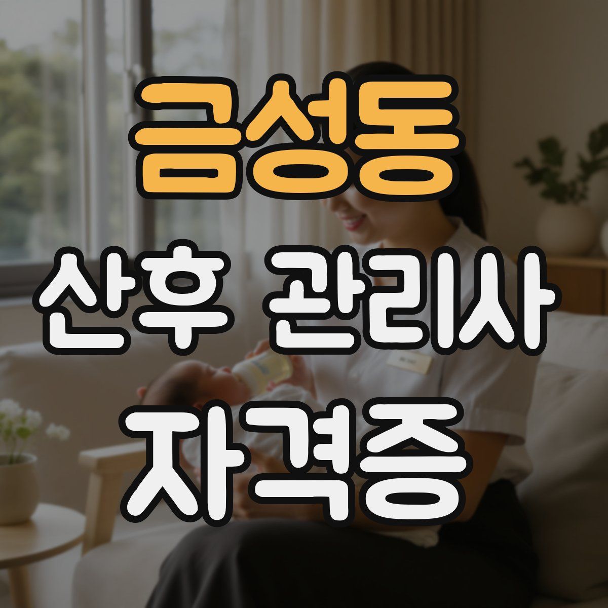 금성동 산후 관리사 자격증
