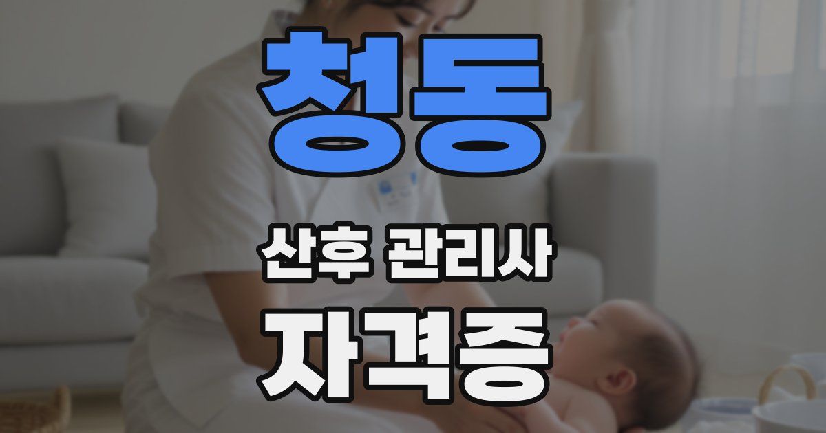 청동 산후 관리사 자격증