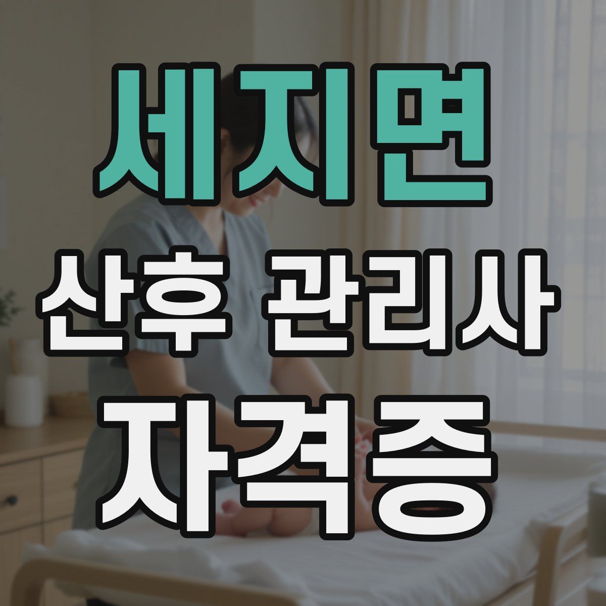 세지면 산후 관리사 자격증