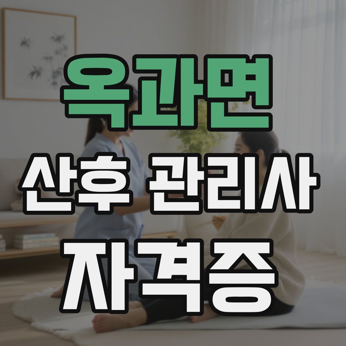 옥과면 산후 관리사 자격증