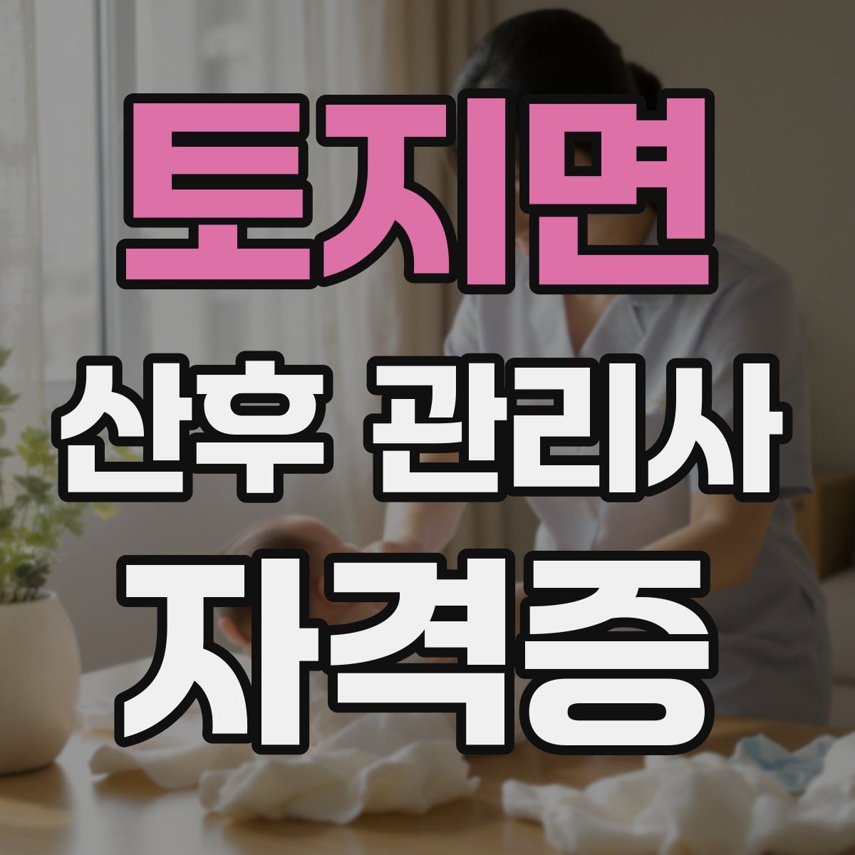 토지면 산후 관리사 자격증
