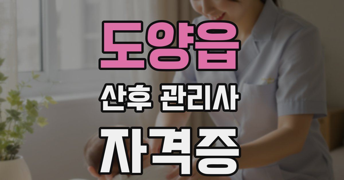 도양읍 산후 관리사 자격증