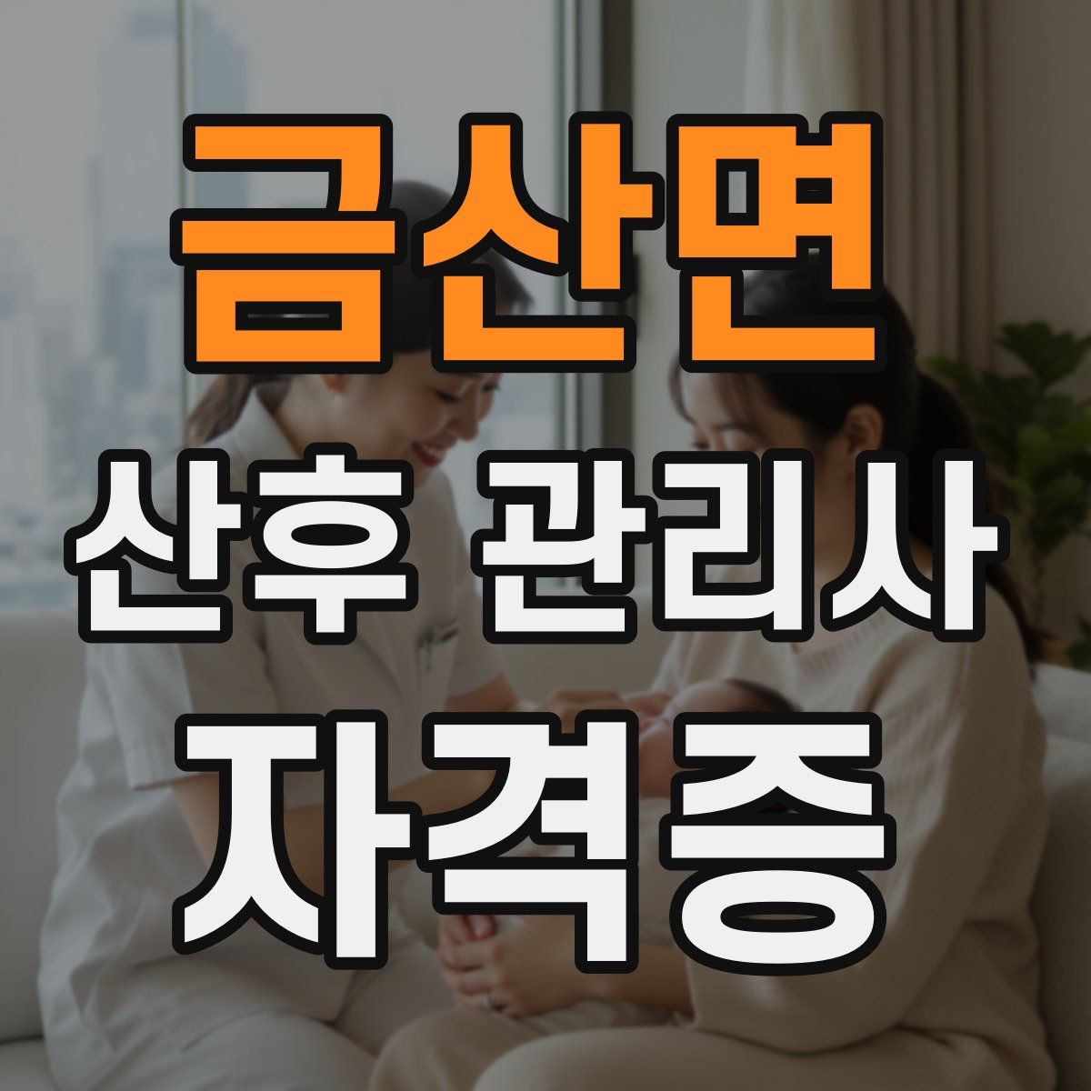 금산면 산후 관리사 자격증