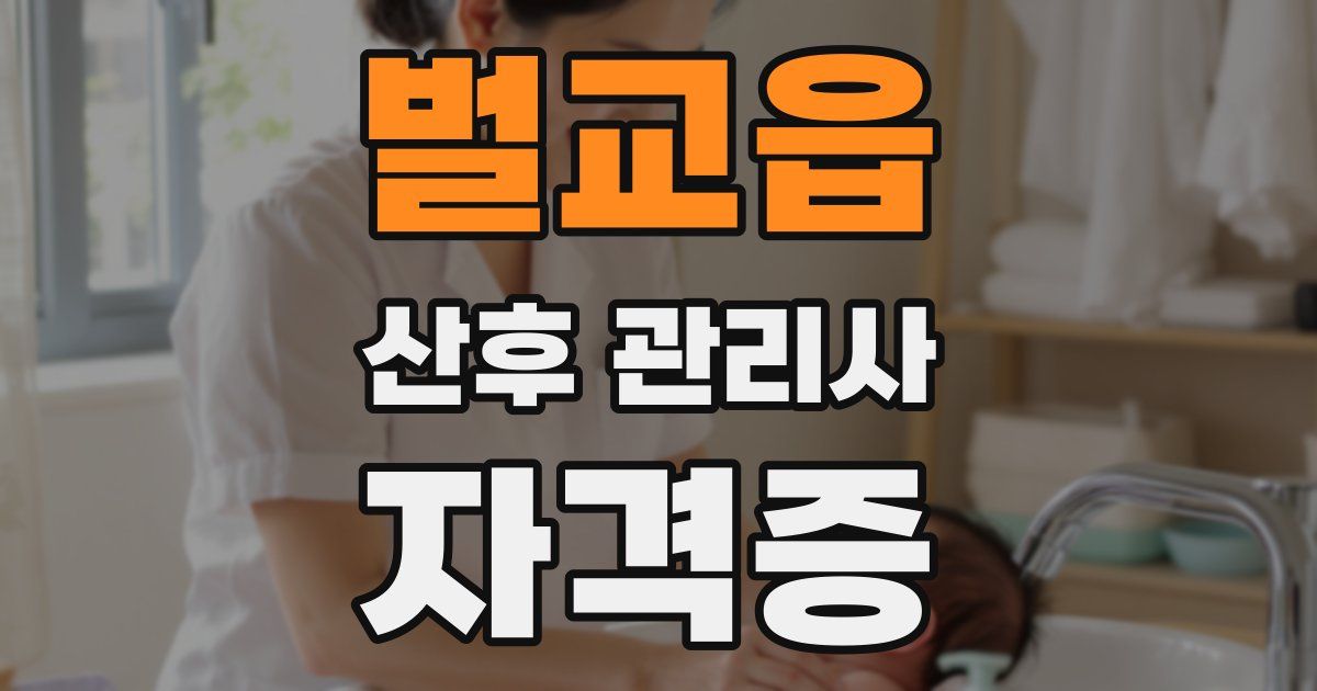 벌교읍 산후 관리사 자격증