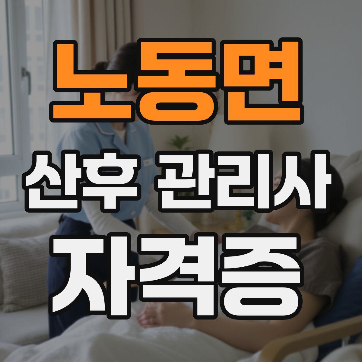 노동면 산후 관리사 자격증