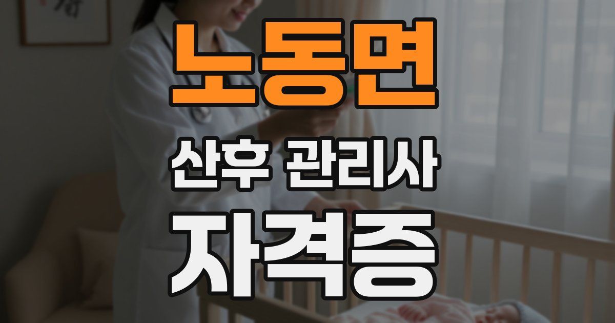 노동면 산후 관리사 자격증