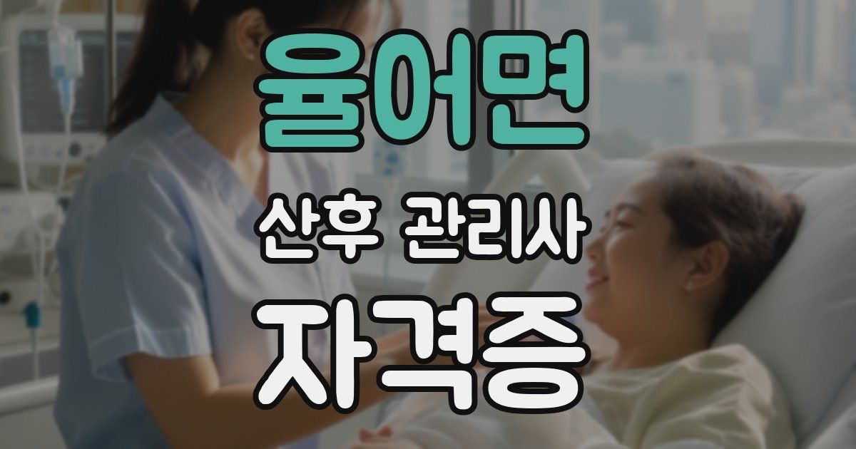 율어면 산후 관리사 자격증