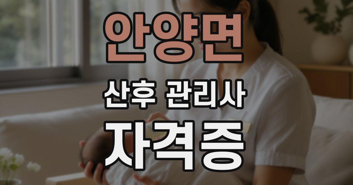 안양면 산후 관리사 자격증