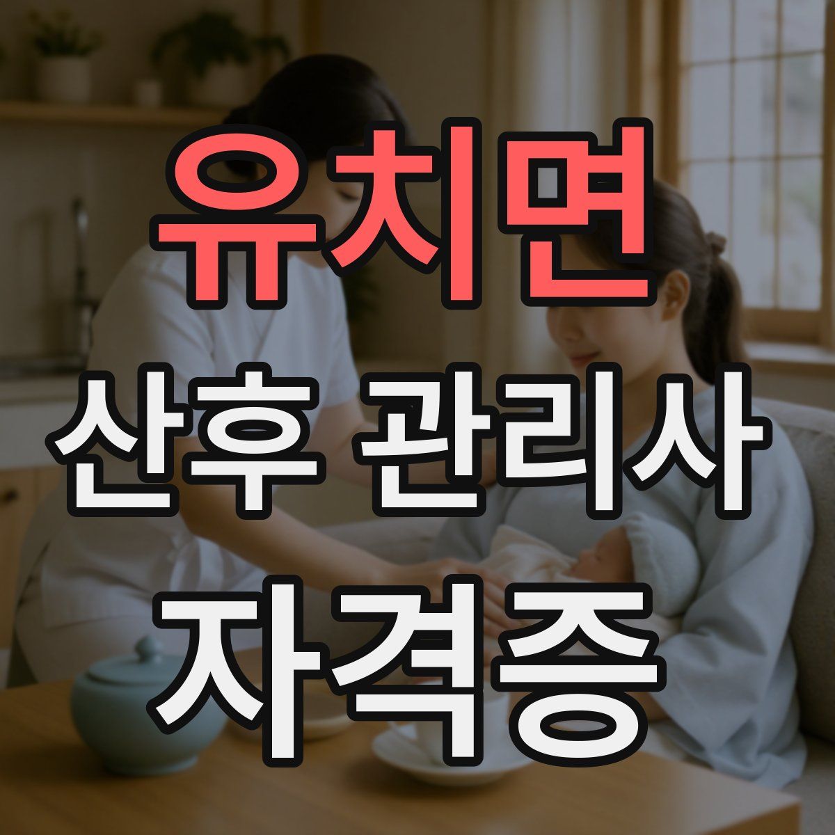 유치면 산후 관리사 자격증