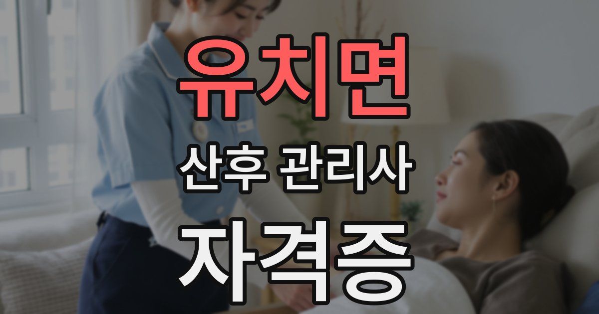 유치면 산후 관리사 자격증