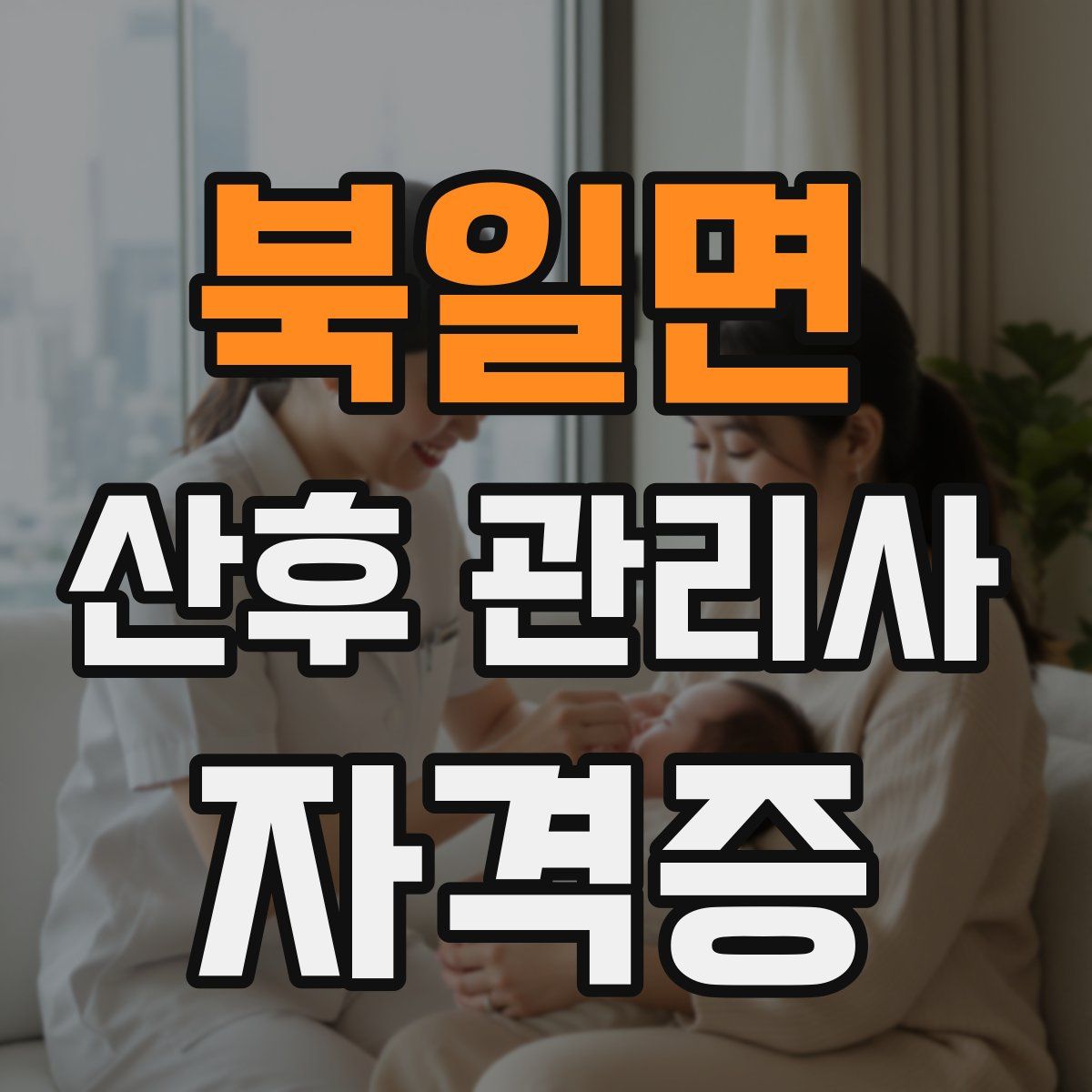 북일면 산후 관리사 자격증