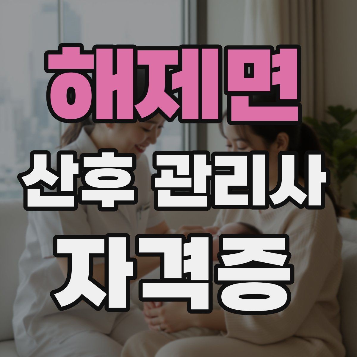 해제면 산후 관리사 자격증 현장에 필요한 보험 계약 확인 포인트