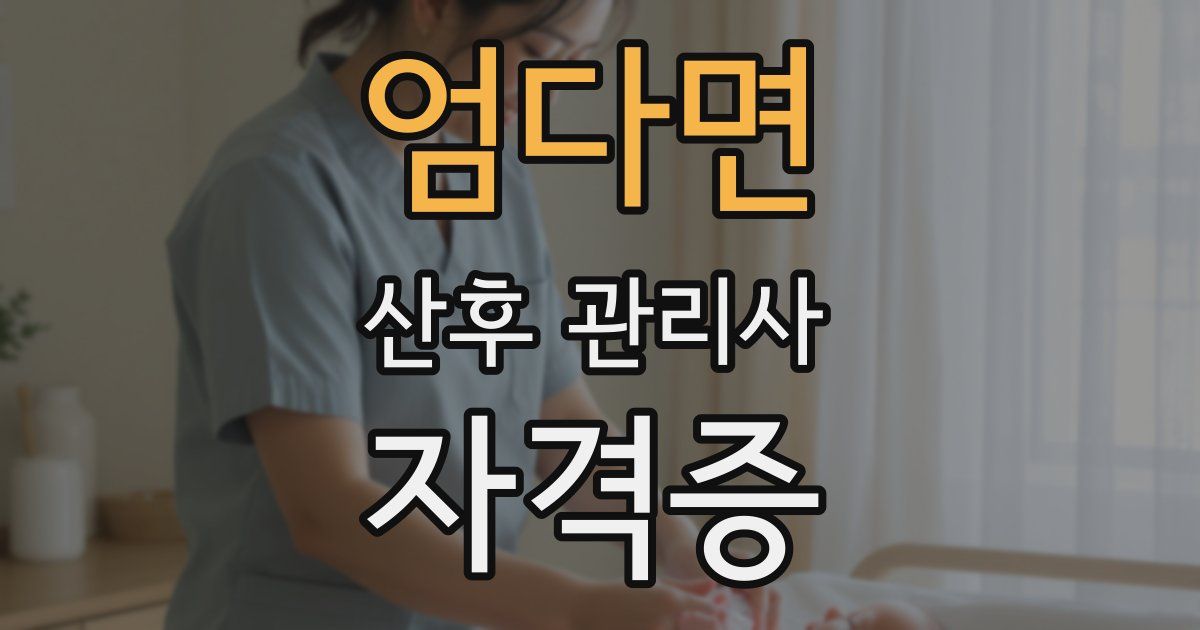 엄다면 산후 관리사 자격증