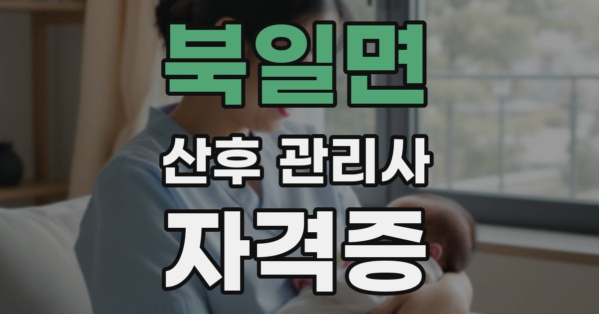북일면 산후 관리사 자격증