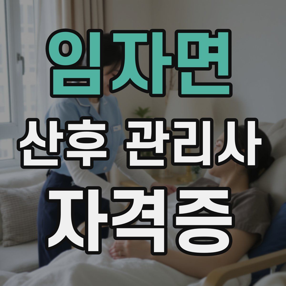 임자면 산후 관리사 자격증