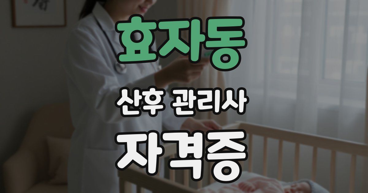 효자동 산후 관리사 자격증