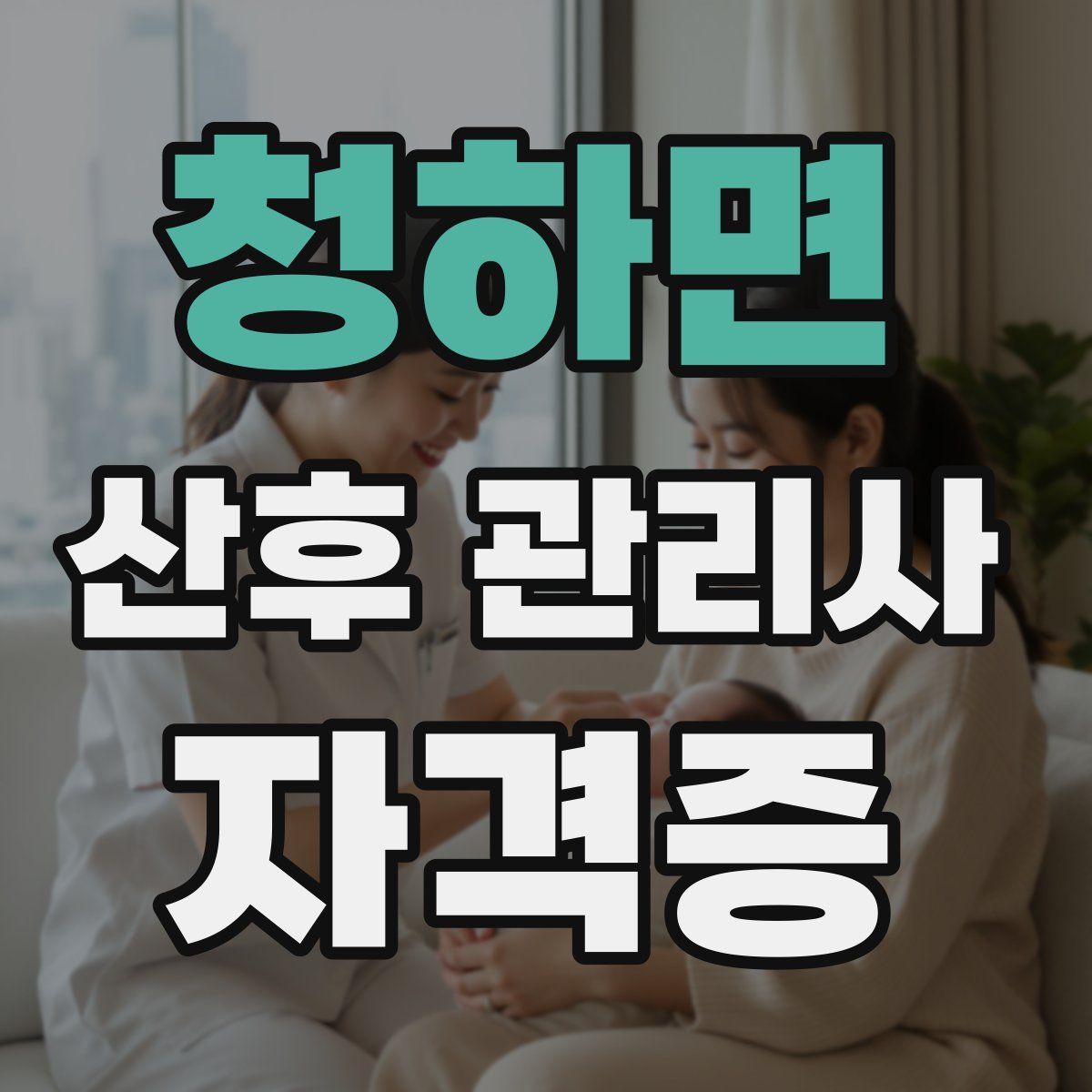 청하면 산후 관리사 자격증
