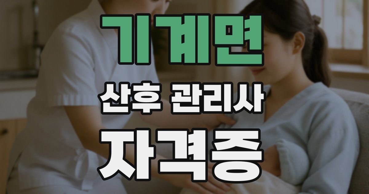 기계면 산후 관리사 자격증