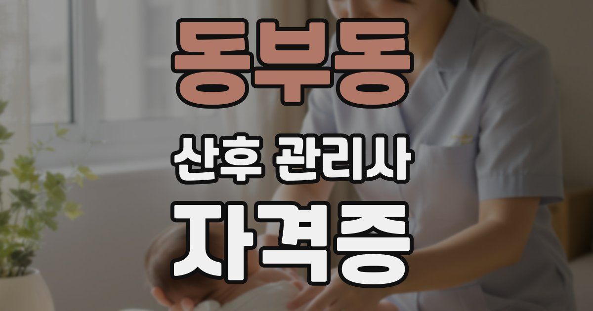 동부동 산후 관리사 자격증