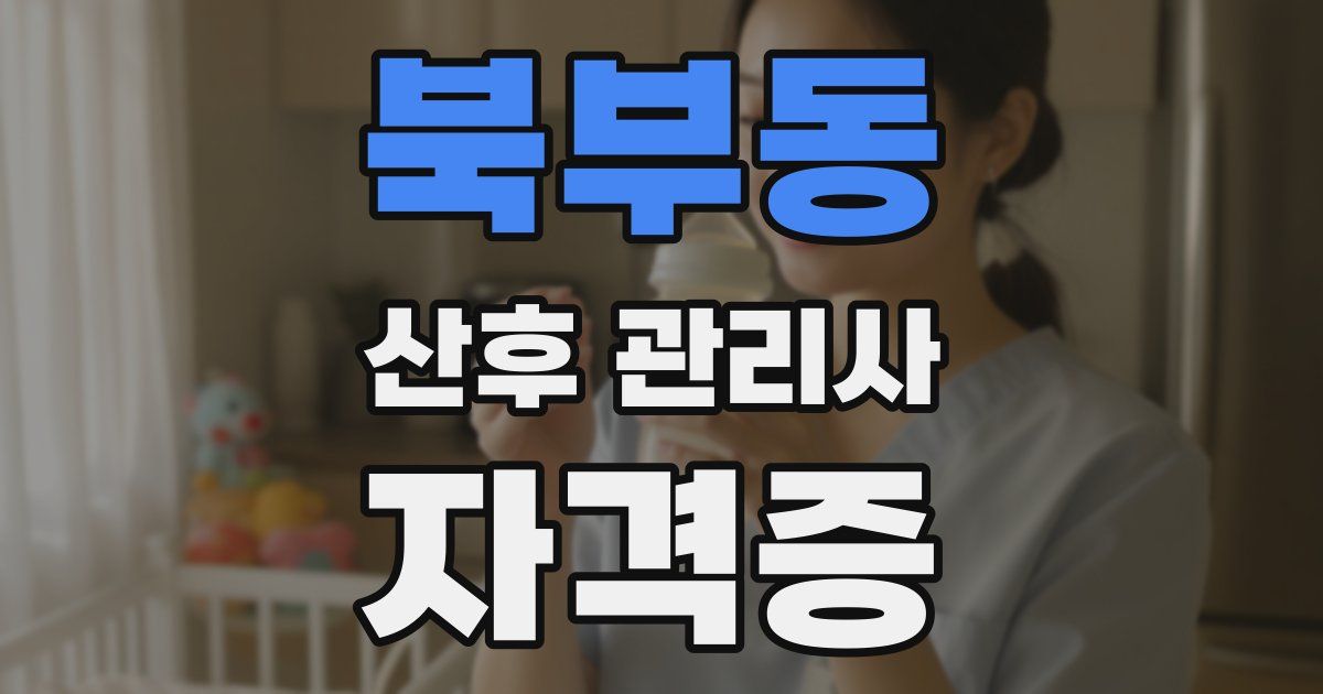 북부동 산후 관리사 자격증