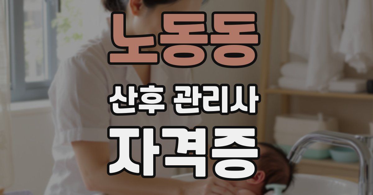 노동동 산후 관리사 자격증