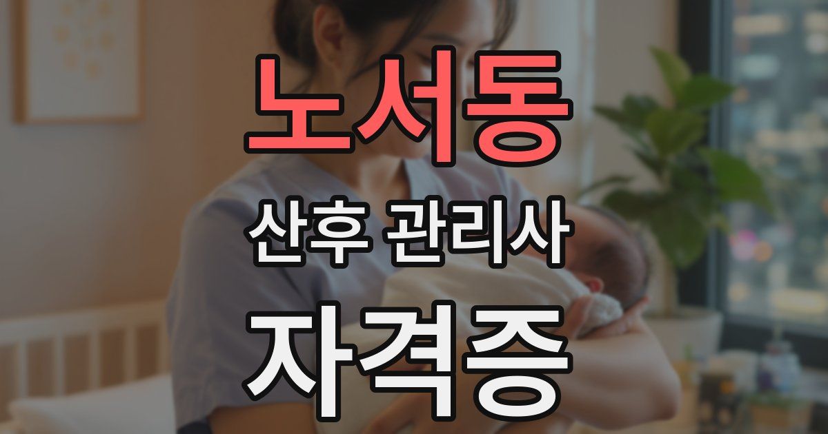 노서동 산후 관리사 자격증