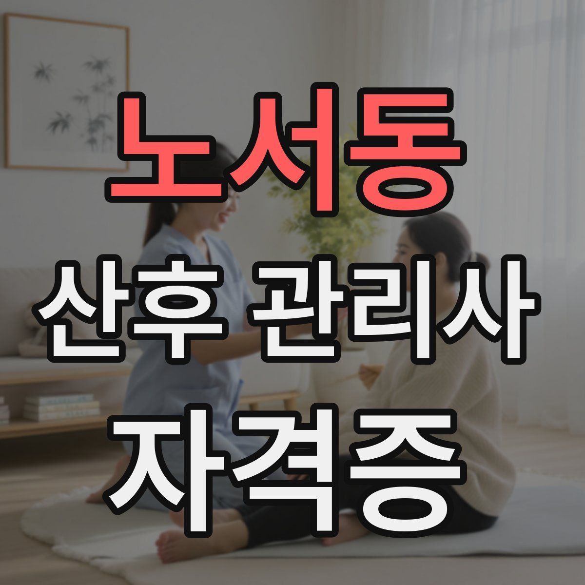 노서동 산후 관리사 자격증