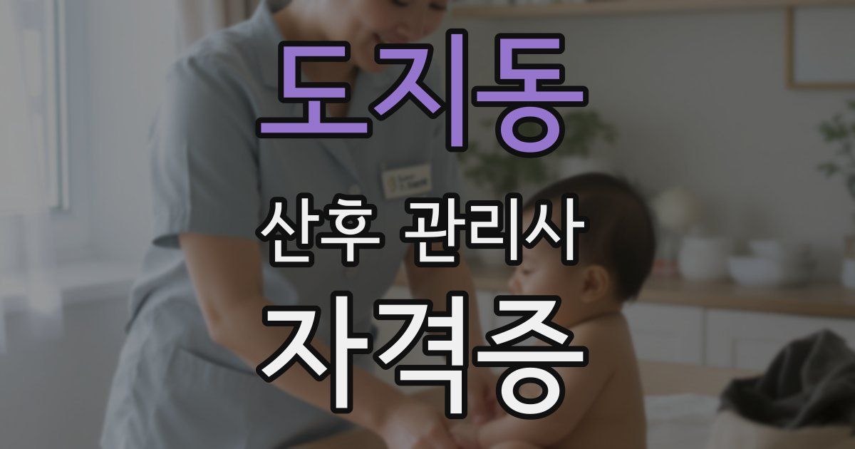 도지동 산후 관리사 자격증