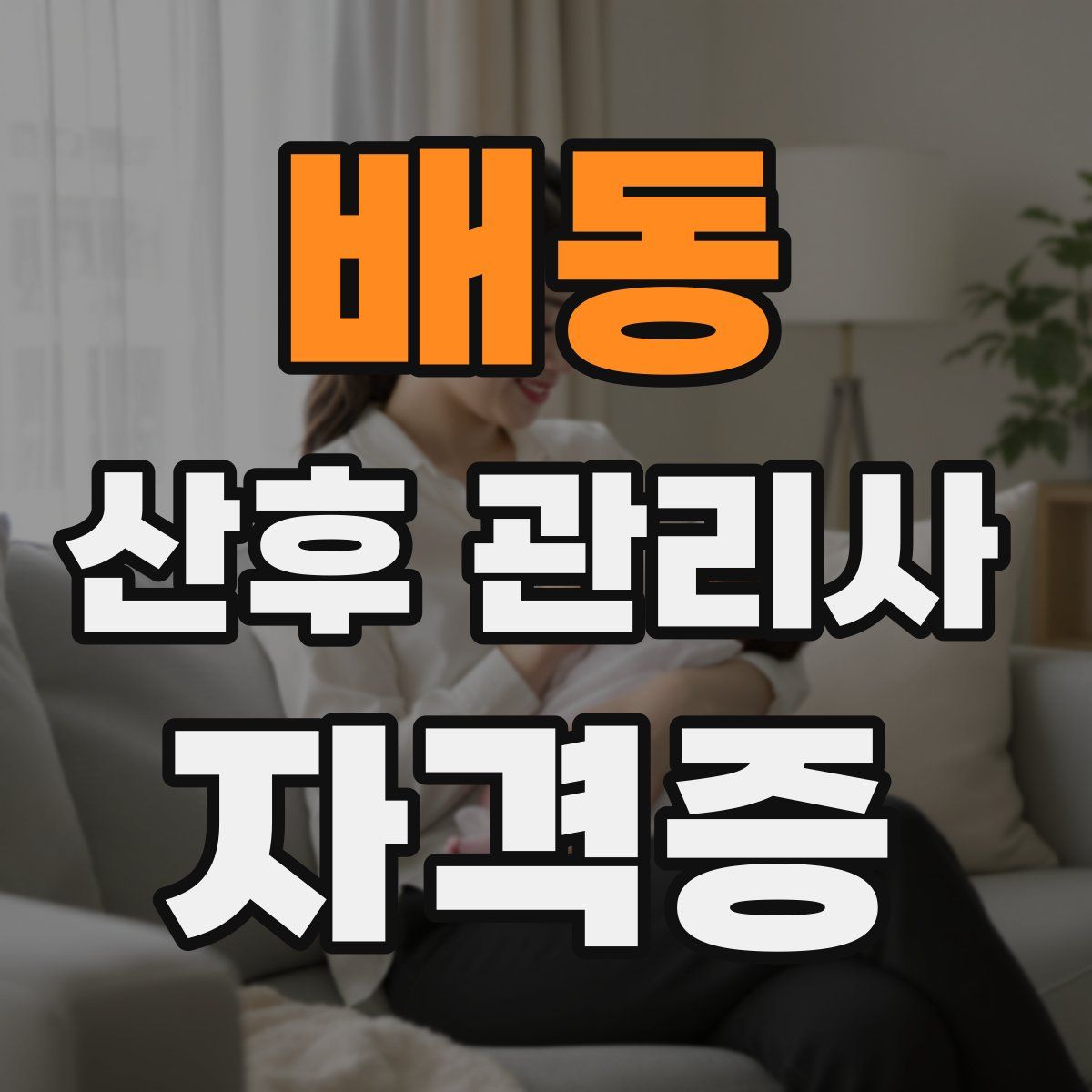 배동 산후 관리사 자격증