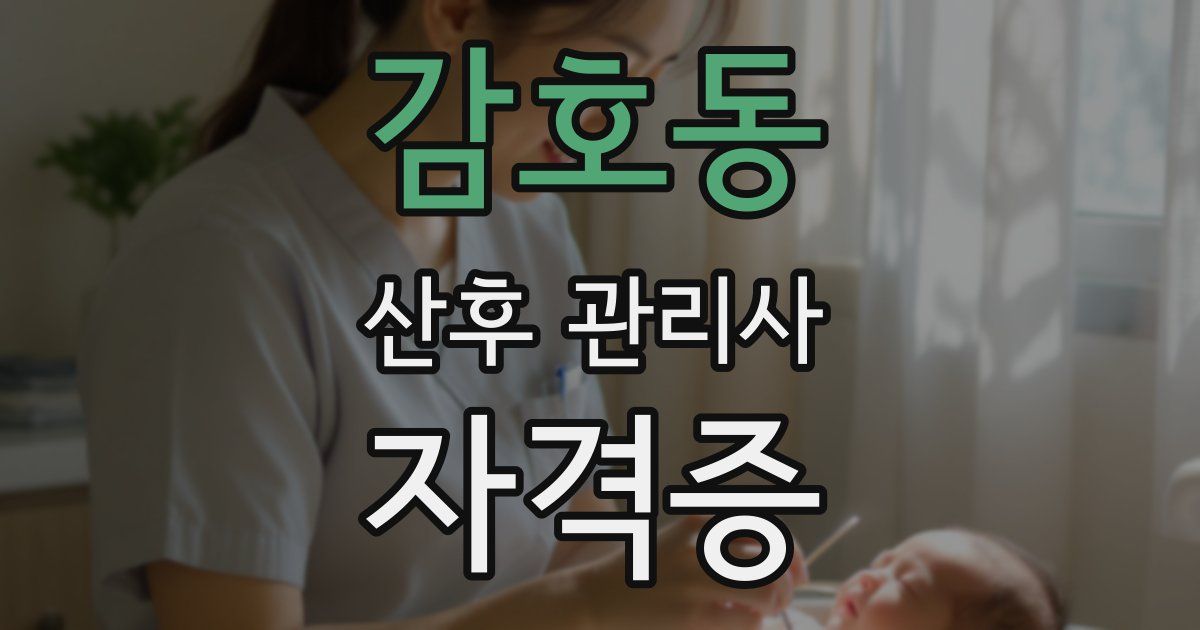 감호동 산후 관리사 자격증