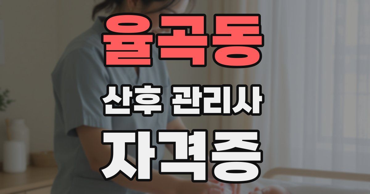 율곡동 산후 관리사 자격증